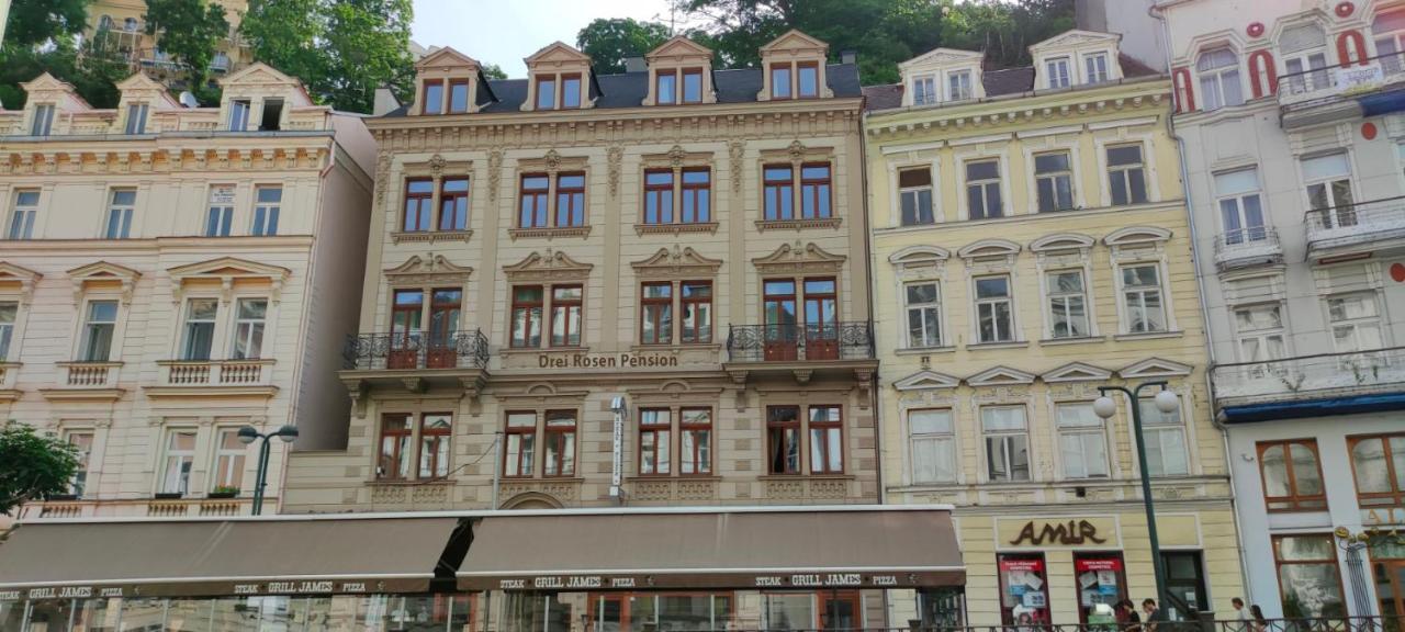 Pension Drei Rosen Карловы Вары Экстерьер фото